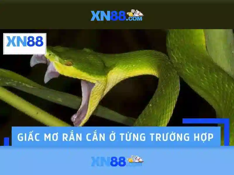 xn88: Tổng quan về nền tảng trò chơi và đặt cược trực tuyến