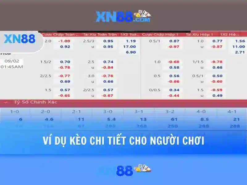 Hướng dẫn đọc bảng kèo nhà cái đá gà XN88