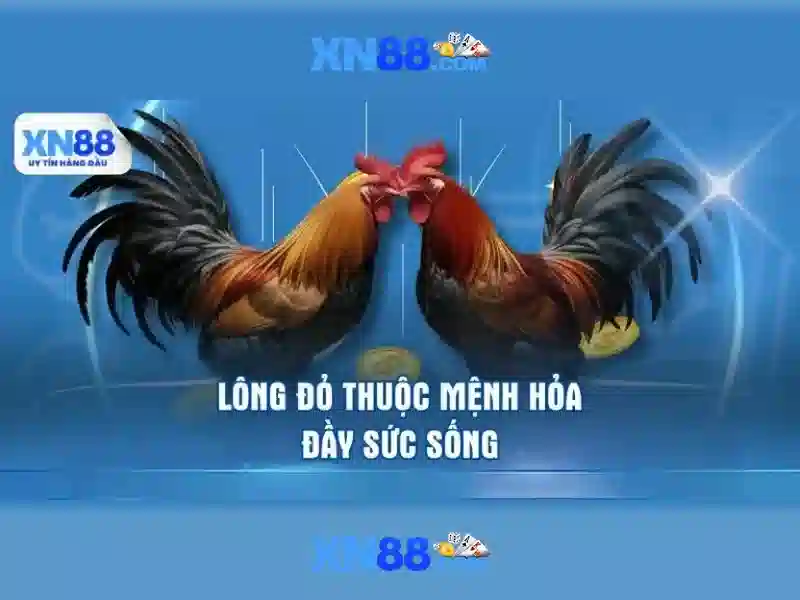 XN88 là gì và tại sao lại phổ biến trong cộng đồng chơi game trực tuyến