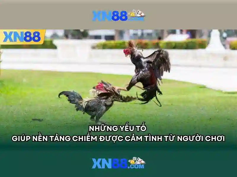xn88 — Nền tảng chơi game trực tuyến và cá cược an toàn
