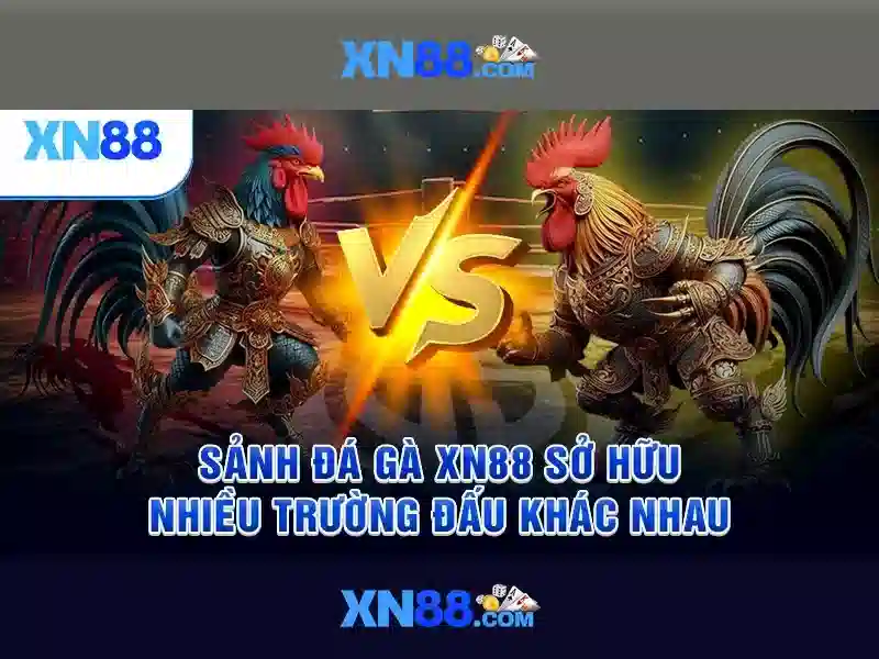 Lịch sử và nguồn cảm hứng