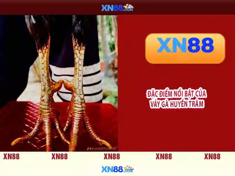 Giới thiệu về xn88