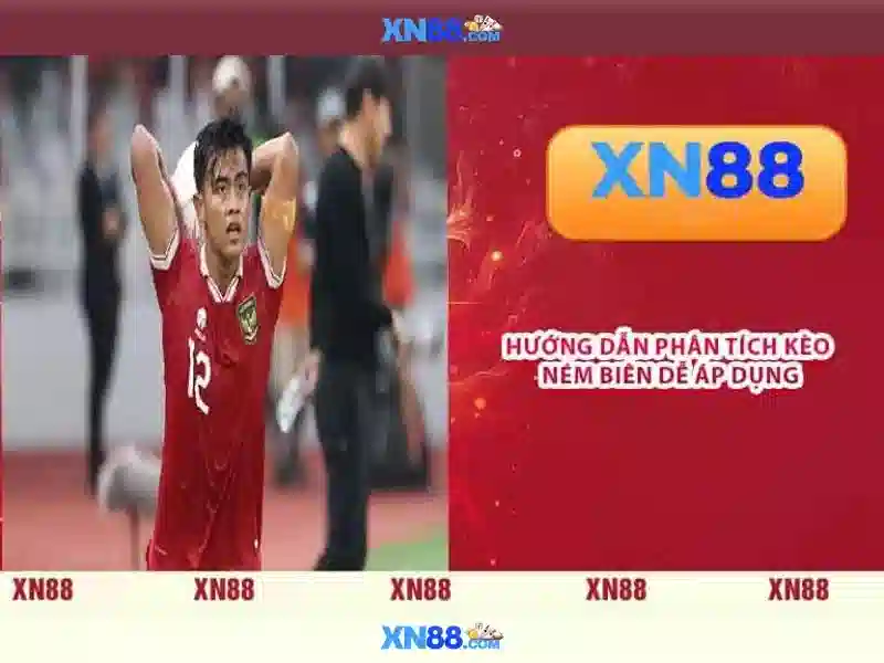 Khuyến nghị và lưu ý