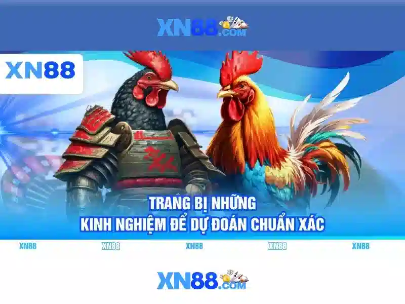 quyen loi dai ly xn88