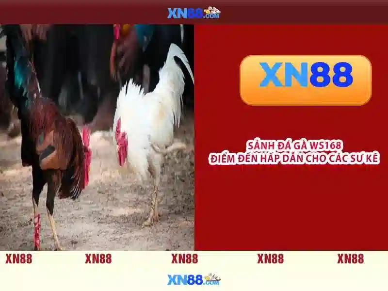 Giao diện người dùng và trải nghiệm