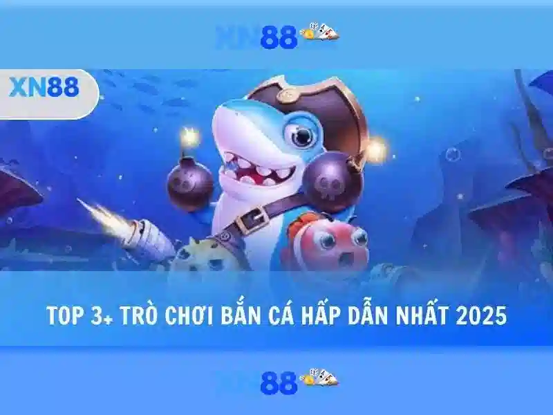 Giới thiệu về xn88