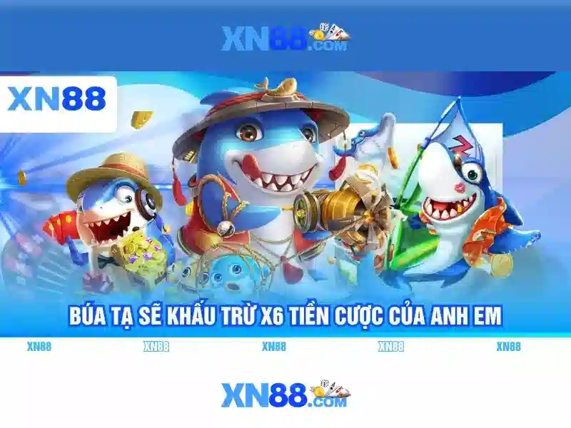Nền tảng và chức năng
