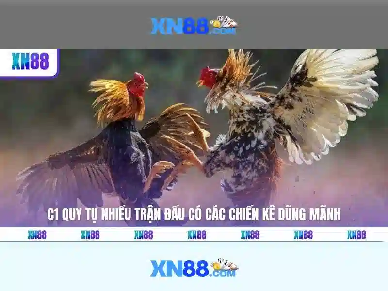 Trò chơi và danh mục trên xn88