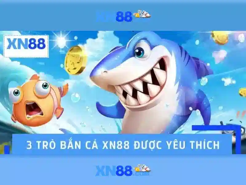 Giới thiệu về xn88