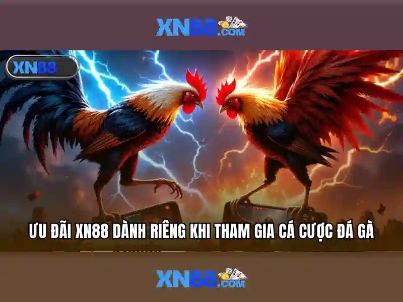 Giới thiệu về xn88