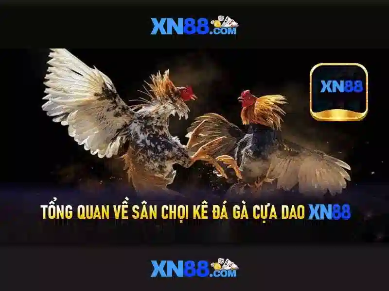 5. Hỗ trợ và cộng đồng người chơi