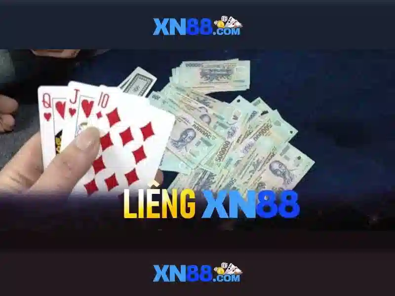 Cộng đồng người dùng và tương lai
