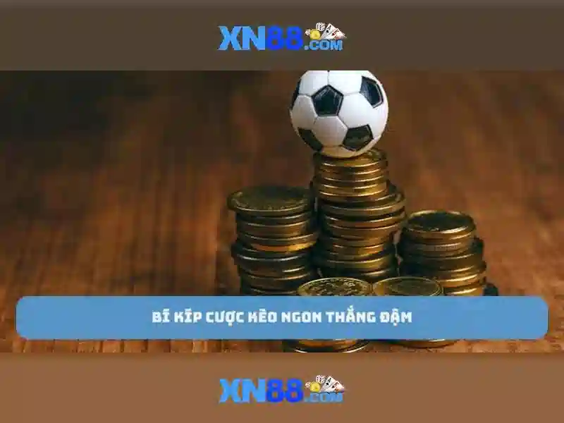 An toàn người chơi và quản lý rủi ro