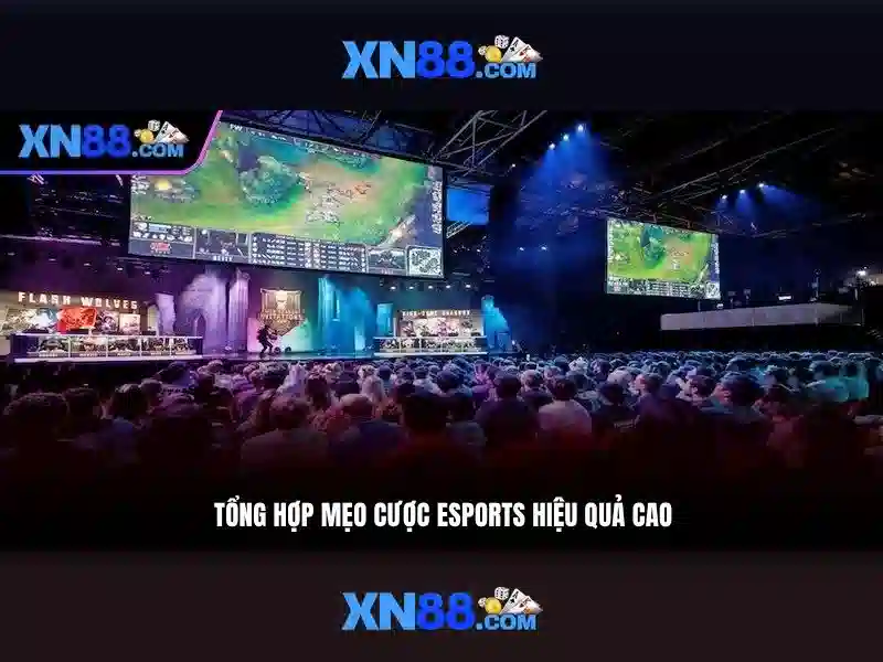 Giới thiệu về xn88