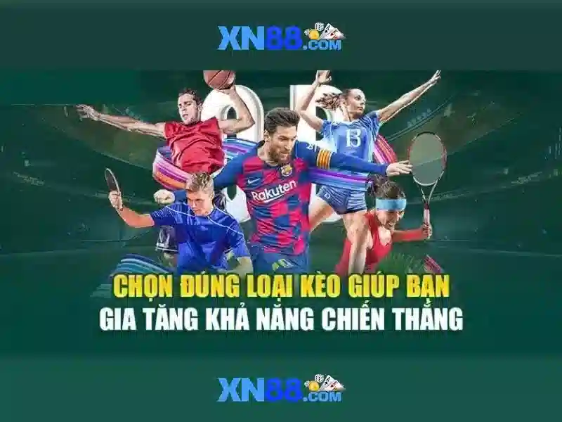 Trải nghiệm người dùng và đánh giá
