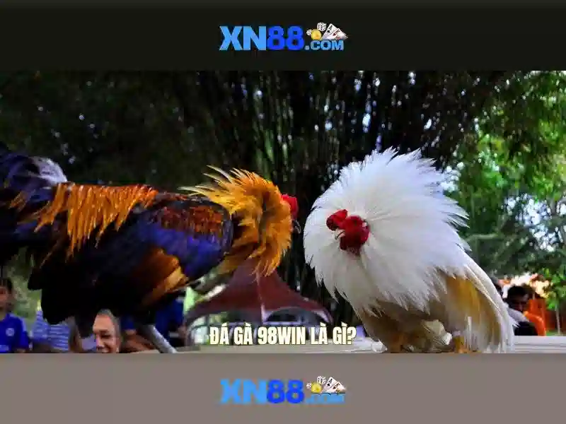Giao dien cai dat gioi han cuoc va tu loai tru tren xn88