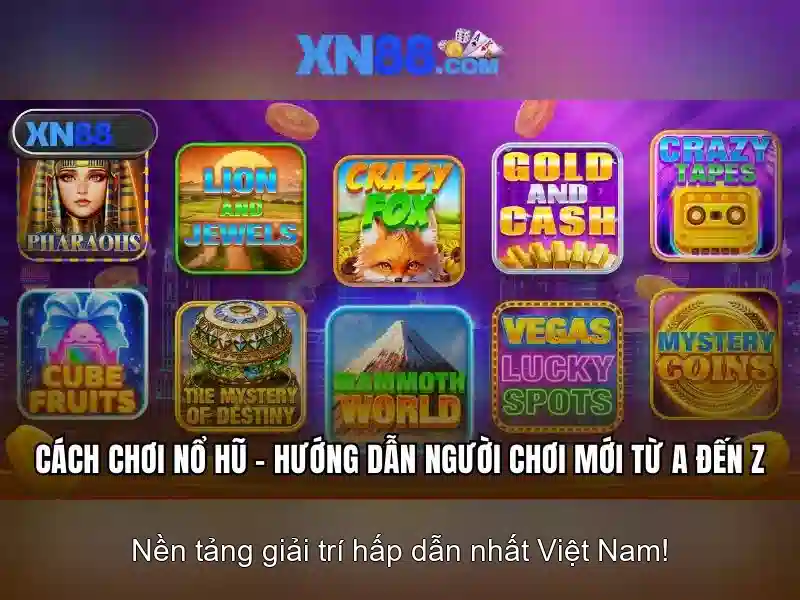 xn88 – Cổng thông tin và đánh giá