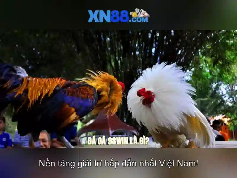 Xn88: Tổng quan về nền tảng số và trải nghiệm người dùng