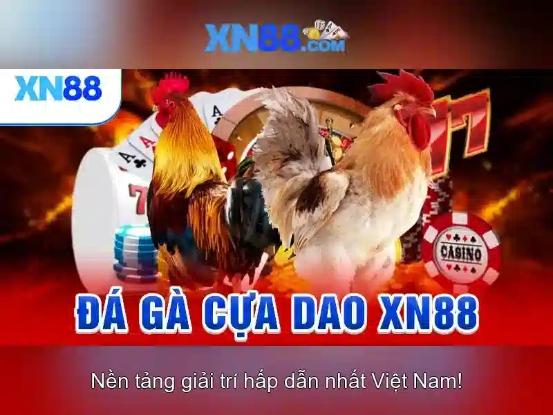 xn88: Giới thiệu ngắn gọn về nền tảng thể thao số