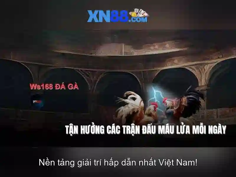 Giới thiệu về xn88