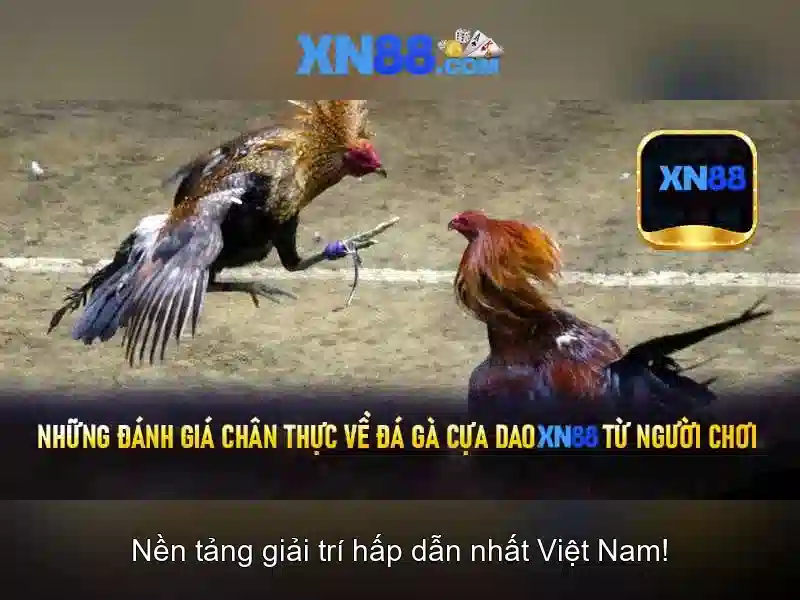 Cộng đồng và lộ trình