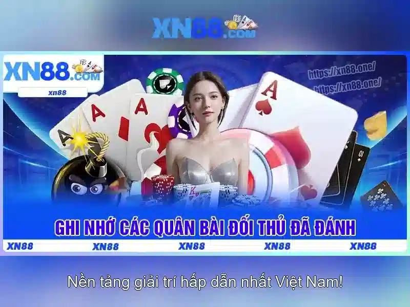 Lịch sử và nền tảng