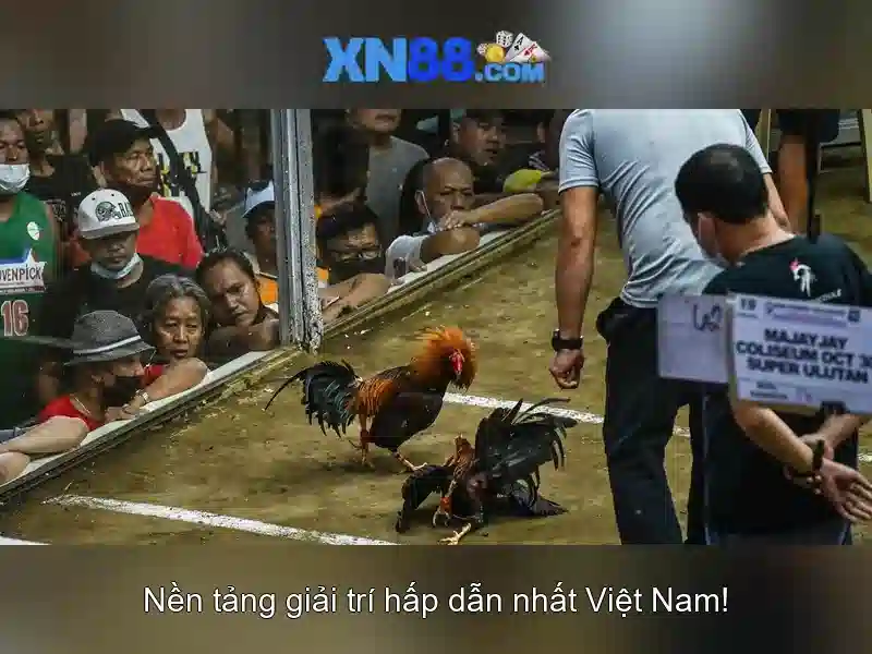 XN88: Nen tang tro choi truc tuyen va nhung dieu ban can biet
