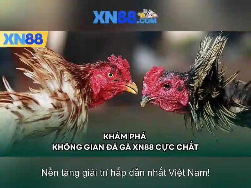 Giới thiệu về xn88
