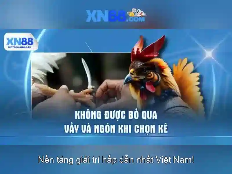 Tính năng nổi bật