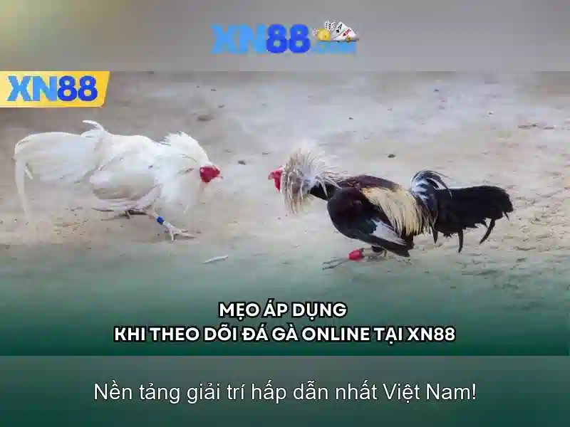 XN88 - Nền tảng trò chơi trực tuyến hàng đầu