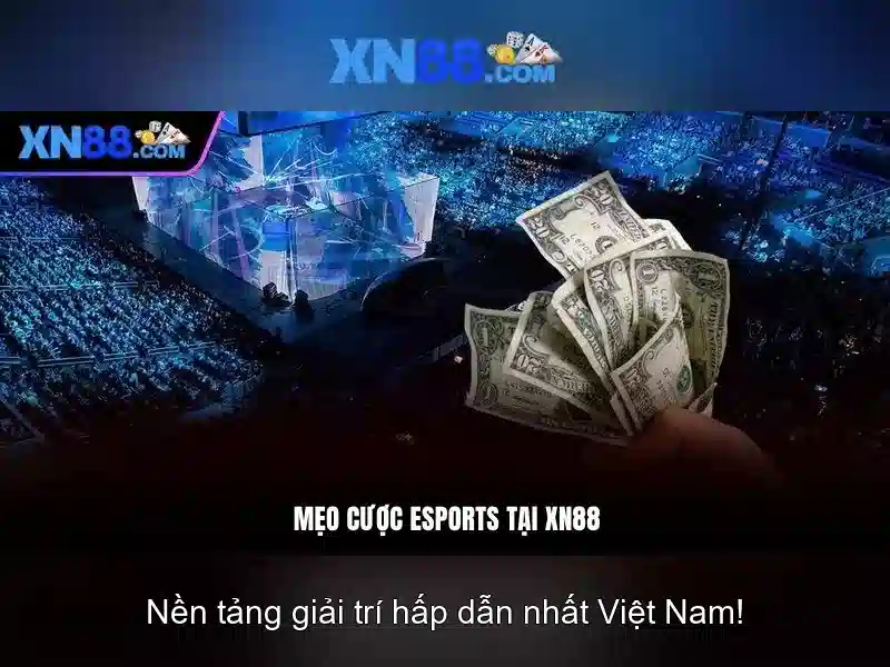 Tổng quan về xn88 và những điều bạn cần biết
