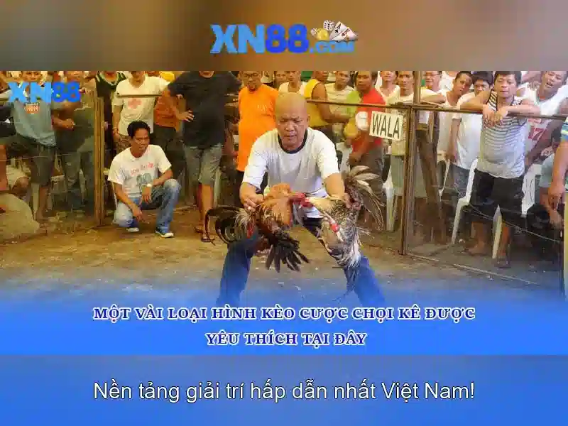 Lời khuyên và nhận xét từ cộng đồng