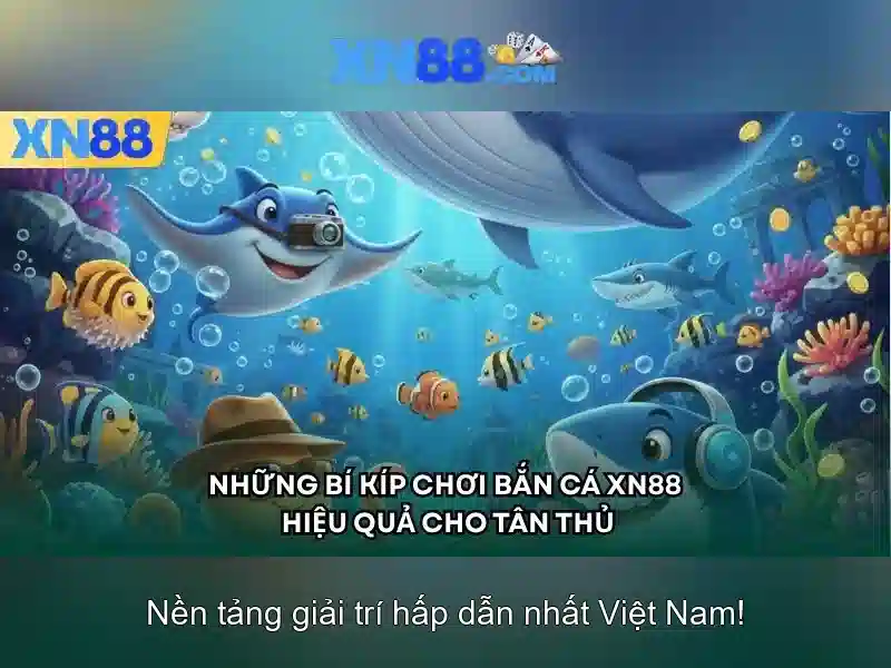 Nền tảng và an toàn