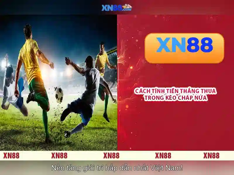 Xn88: Tổng quan về nền tảng