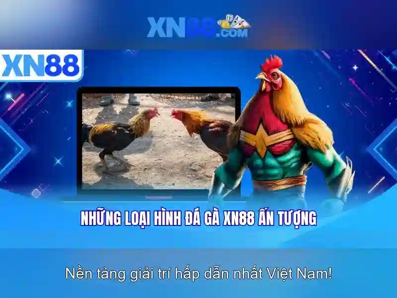 Các tính năng nổi bật của xn88