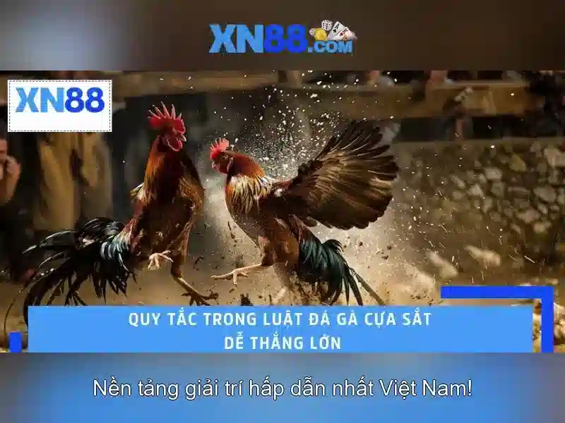 xn88: Đánh giá và kinh nghiệm trải nghiệm cược trực tuyến