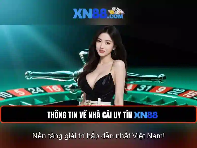 Trải nghiệm người dùng và hỗ trợ