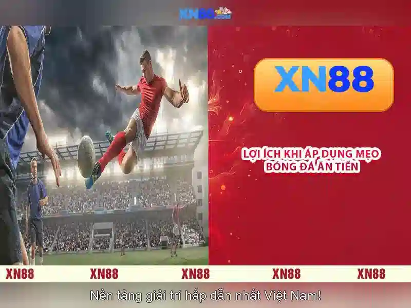xn88 – Cổng thông tin và đánh giá