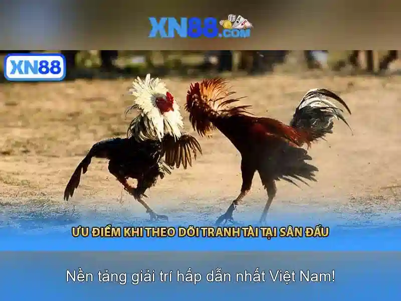 Xn88: Tổng quan về nền tảng số và trải nghiệm người dùng