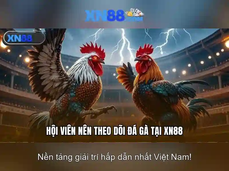 Khuyến nghị và cảnh báo