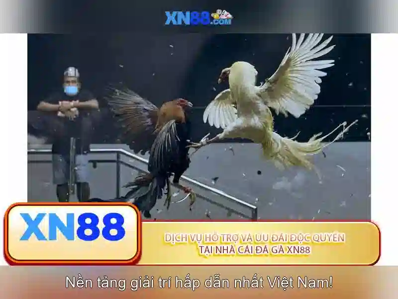 xn88: Nền tảng chơi game trực tuyến an toàn và hấp dẫn
