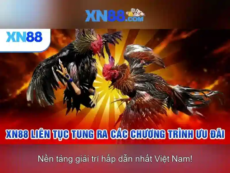xn88: một cái nhìn tổng quan về nền tảng trò chơi trực tuyến