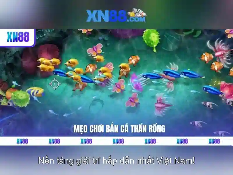 Nguồn gốc và sứ mệnh