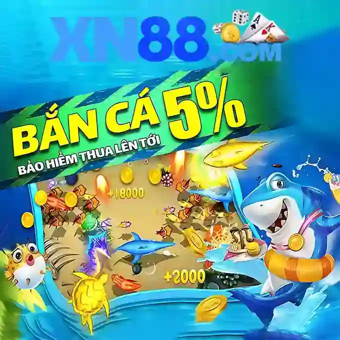 XN88: tổng quan và đánh giá nền tảng cá cược trực tuyến